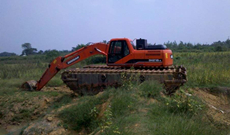 安徽湿地挖掘机租赁